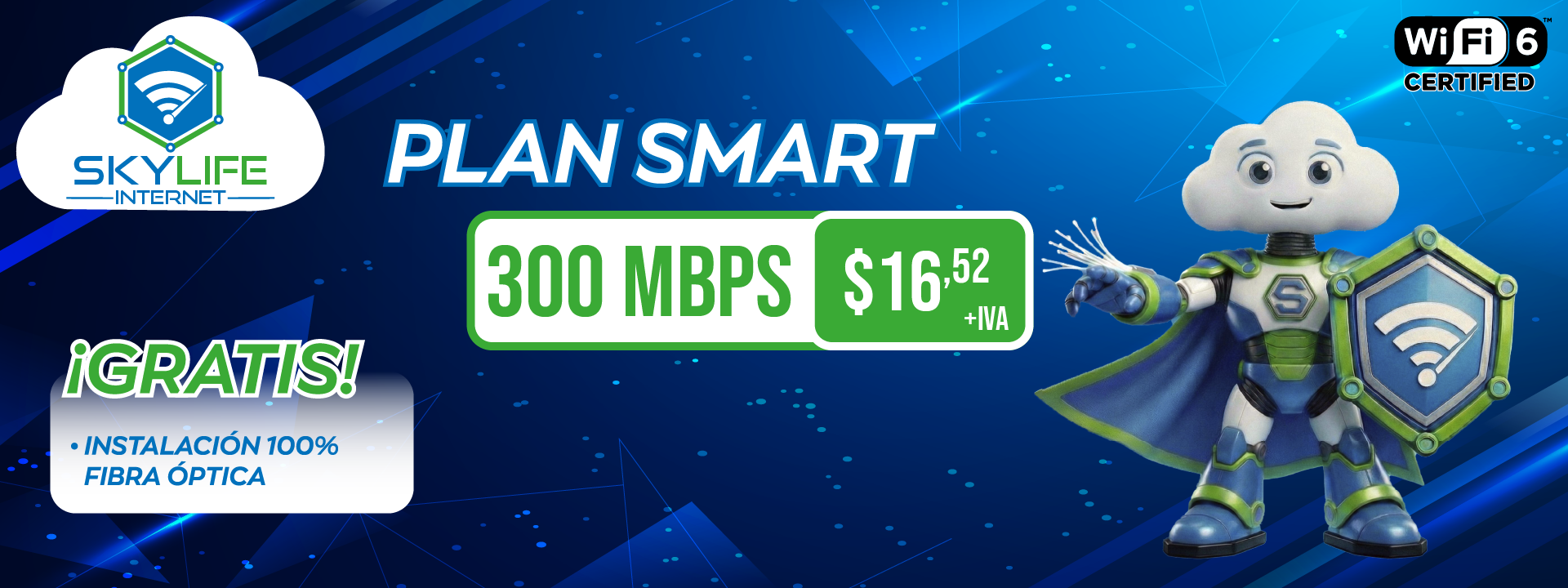 smart_300_1